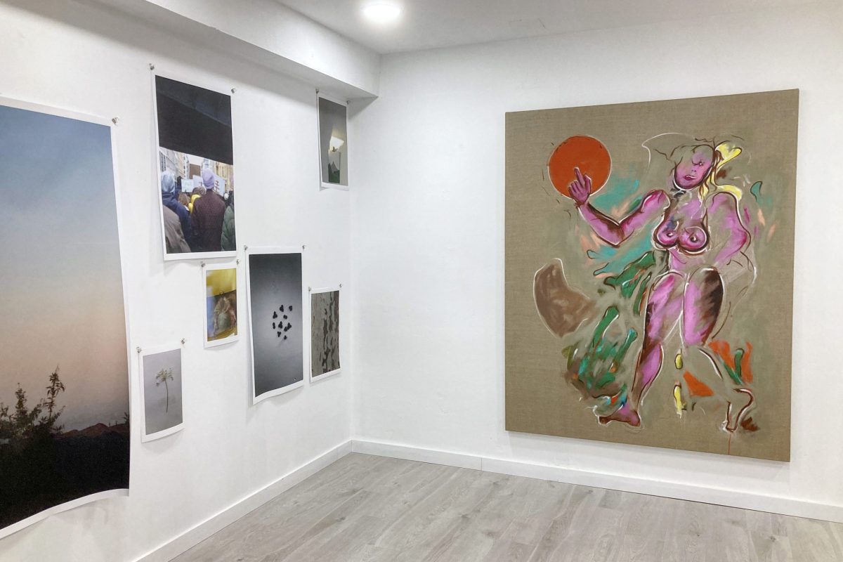 2026-03-03_4922_4000x3000