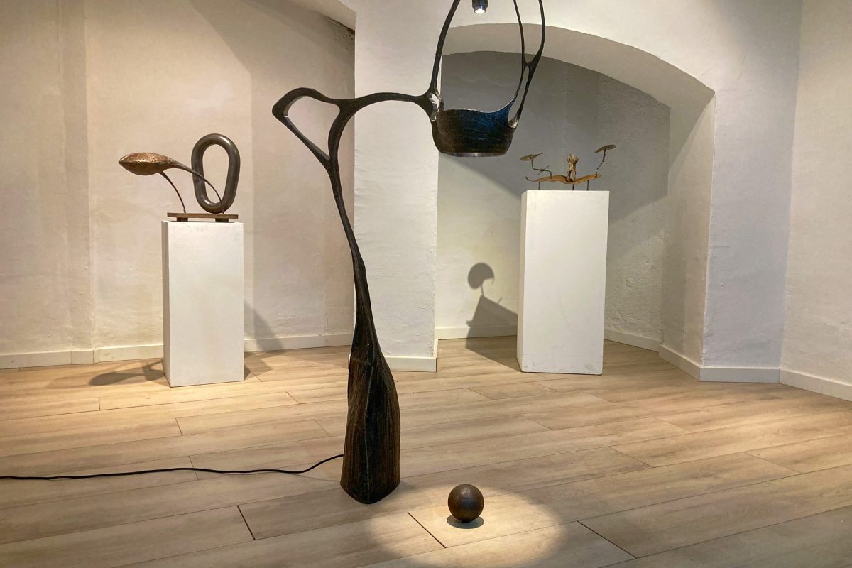 2026-03-03_4949_4000x3000